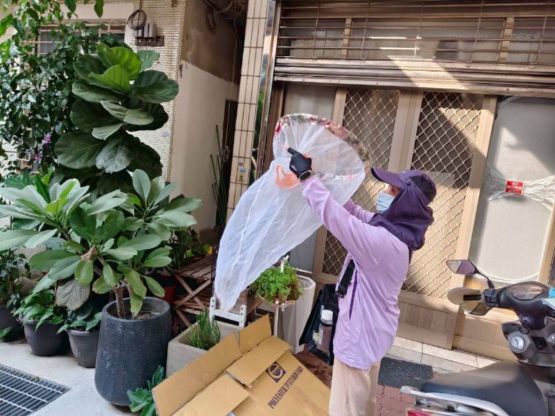 監測人員對社區環境掃蚊監測病媒蚊